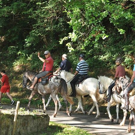 Les Chalets Du Moulin Du Chatain 4 Payzac  Zewnętrze zdjęcie