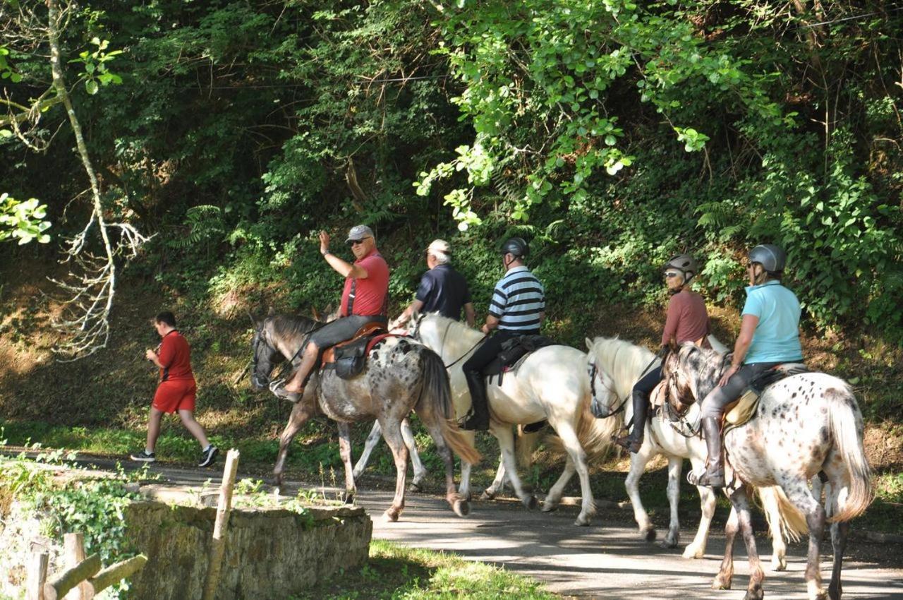 Les Chalets Du Moulin Du Chatain 4 Payzac  Zewnętrze zdjęcie
