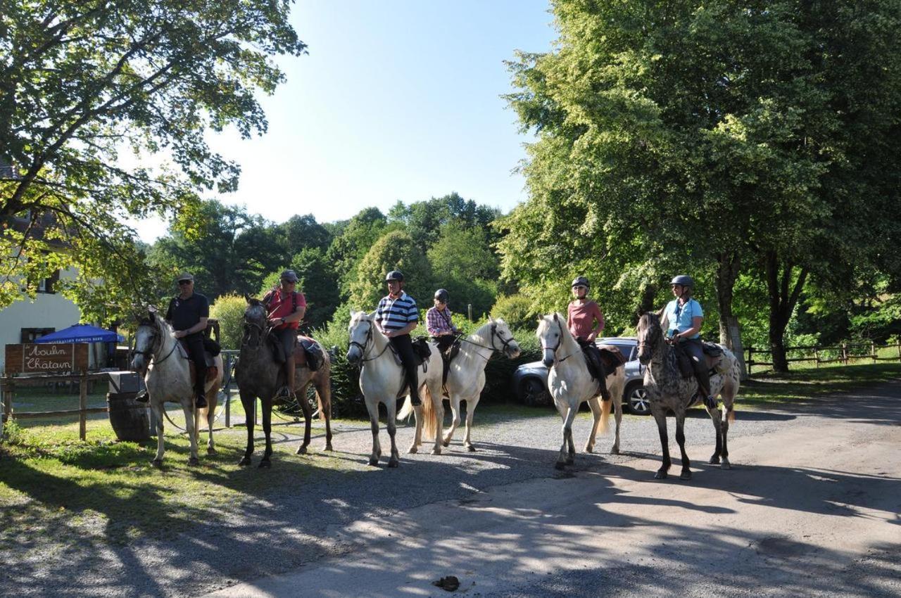 Les Chalets Du Moulin Du Chatain 4 Payzac  Zewnętrze zdjęcie