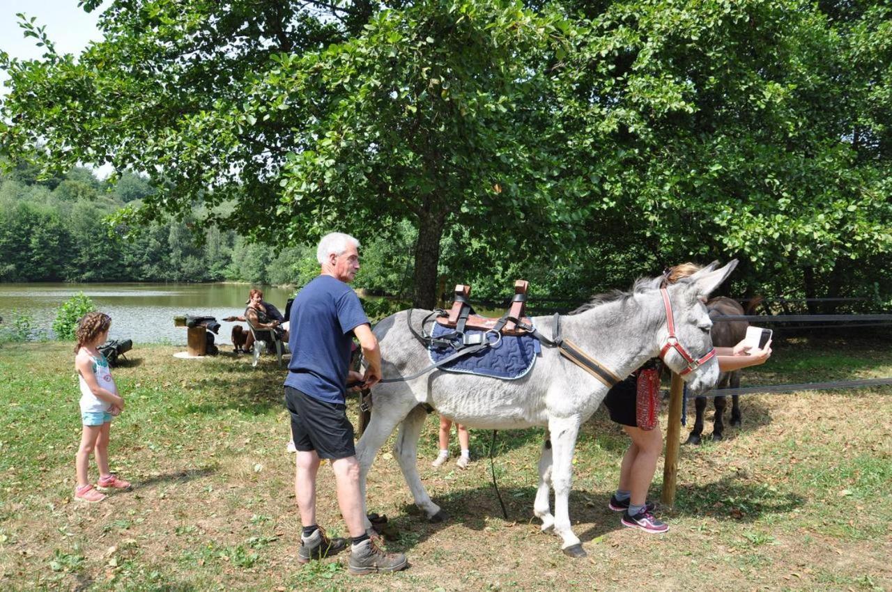 Les Chalets Du Moulin Du Chatain 4 Payzac  Zewnętrze zdjęcie
